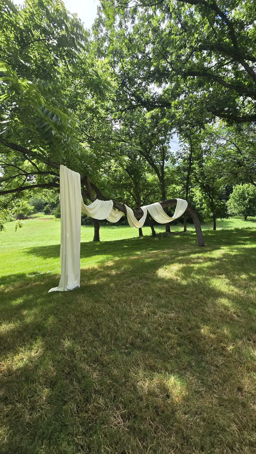 Ivory swags hung across the trees before the ceremony chairs fill